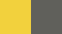 Yellow/Graphite